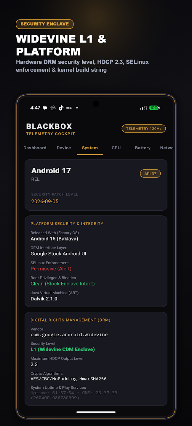 BlackBox: Device Info — Ukážka 2
